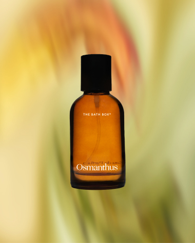 OSMANTHUS